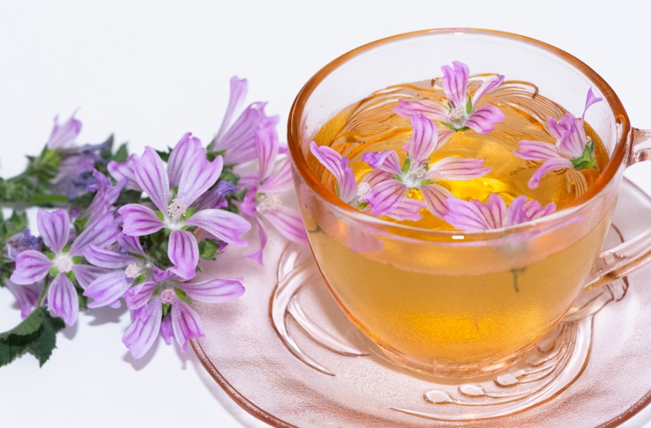 Quels bienfaits pour le tisane de mauve ?